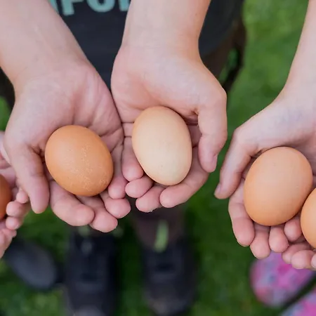 Hébergement de vacances Wiesenkiek - Bauernhof Hopp Vadersdorf