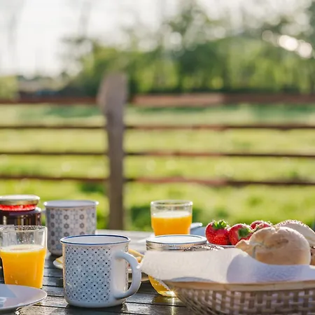 Wiesenkiek - Bauernhof Hopp Vadersdorf Hébergement de vacances *