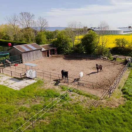Dom wakacyjny Wiesenkiek - Bauernhof Hopp Vadersdorf *